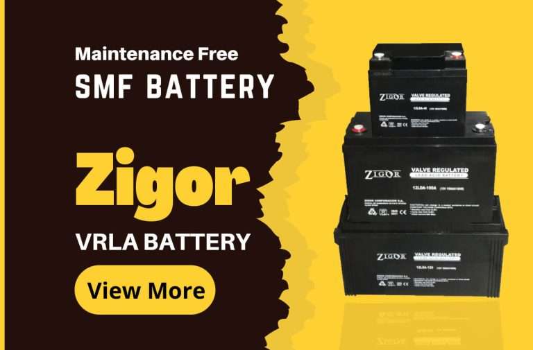 Zigor Maintenance Free Battery